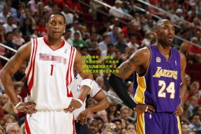 华体会体育：2025足协杯激战综述，六支全华班球队亮相波澜不惊 上海申花卫冕梦碎止步八强