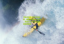 华体会官网_德甲半场战罢，斯图加特客场占先机，蒂亚戈-托马斯冷静施射洞穿狼堡